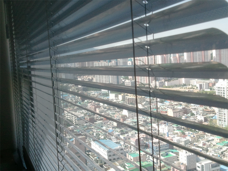busan_05.png