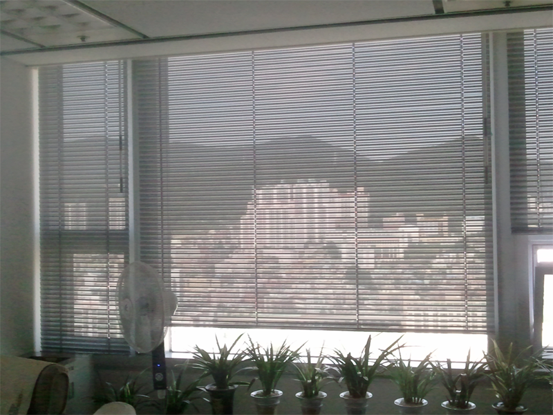 busan_06.png